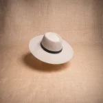 SOMBRERO PAMPA ALA 10