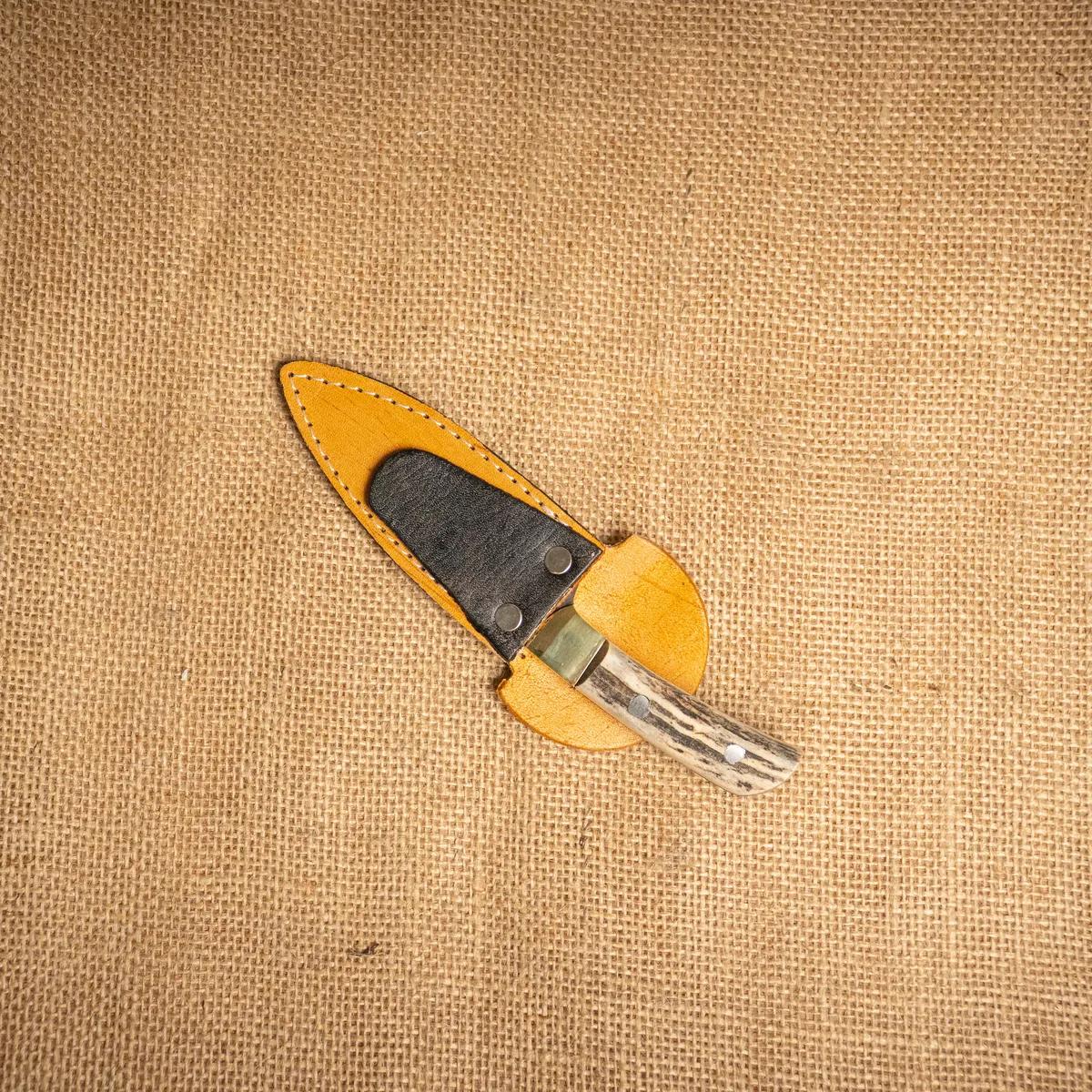 CapibaraDetalles-756 CUCHILLO Q DE ASTA - Imagen 1